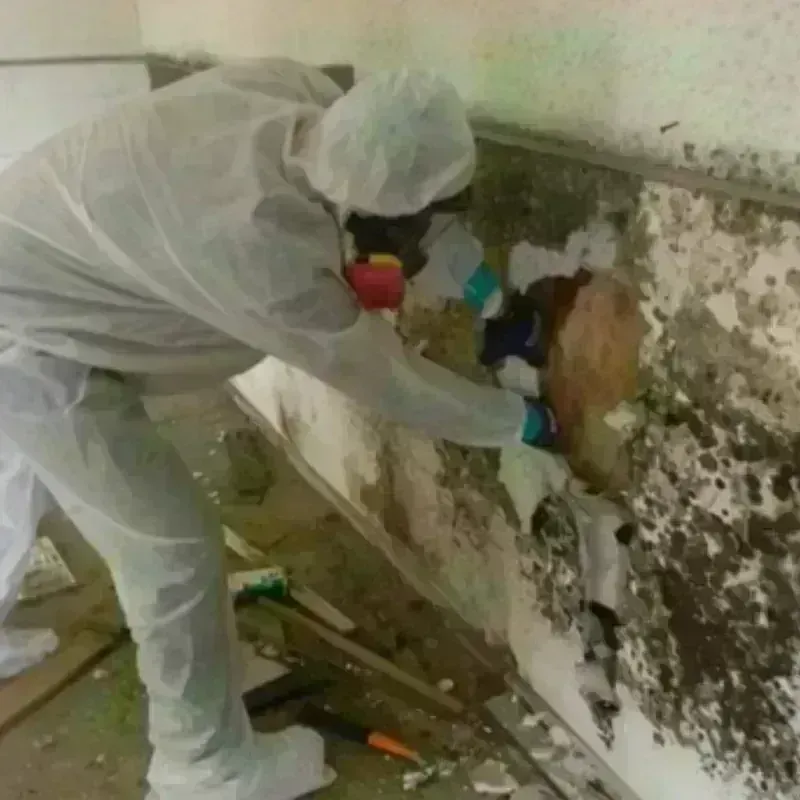 Mold Remediation and Removal in Fair Haven, VT